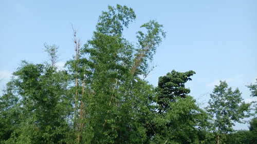 IMG_20160427_164122_副本.jpg