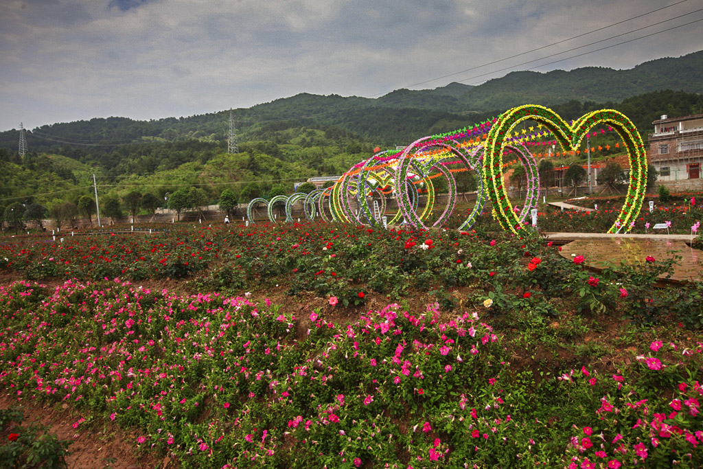 IMG_3382_副本.jpg
