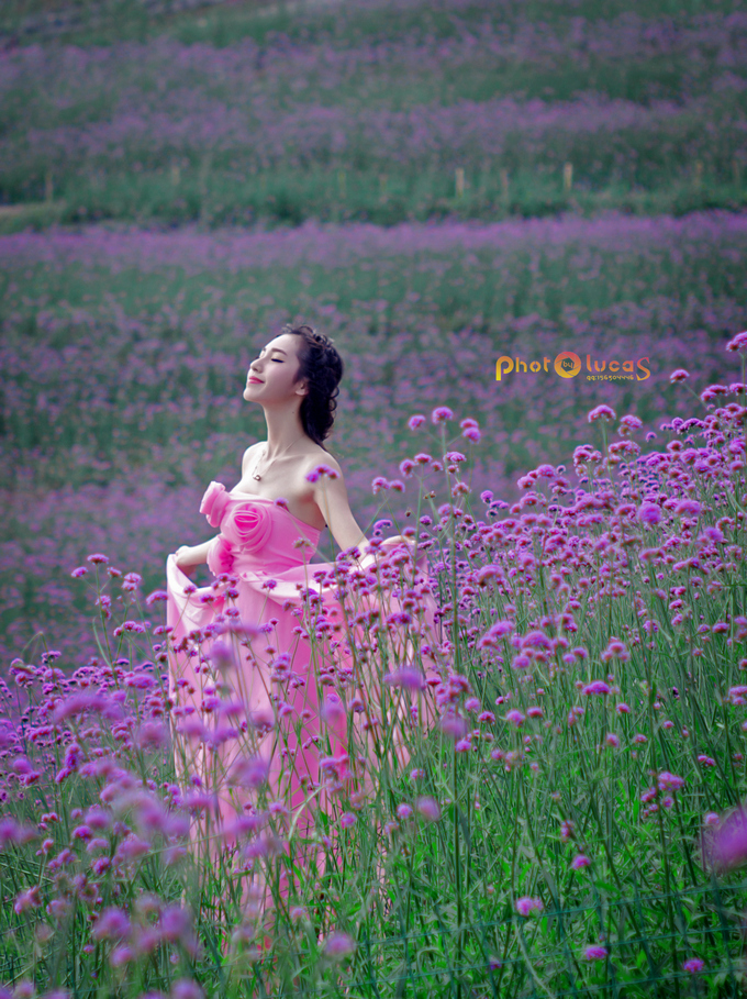 IMGP9751.jpg