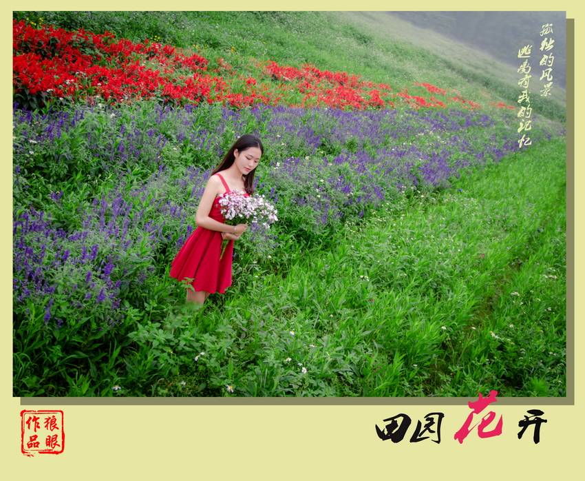 田园花开（3）.jpg