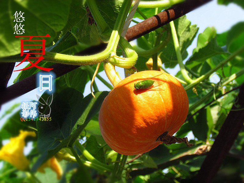照01 115_副本.jpg