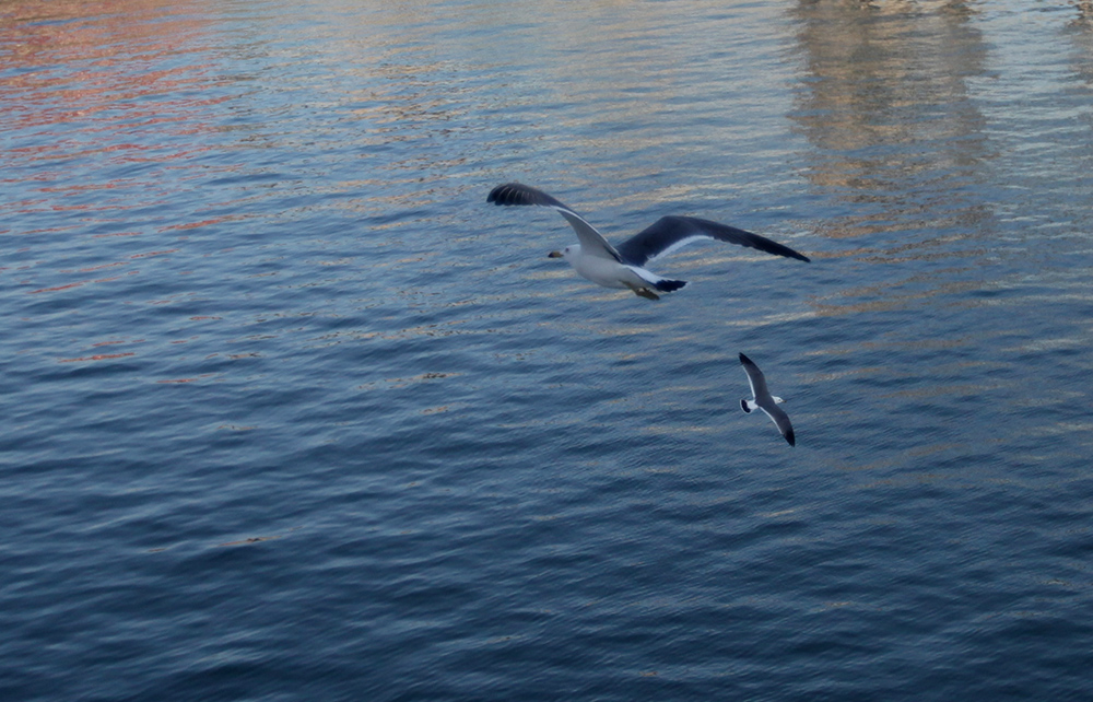 IMG_1646.JPG