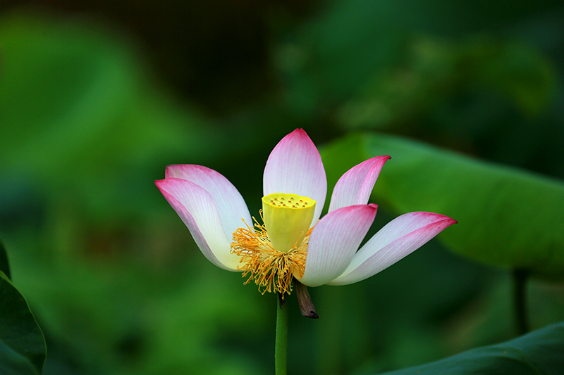 6U9A3593缩放.jpg