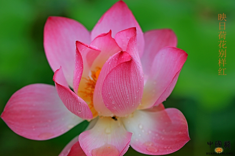 6U9A3613缩放.jpg