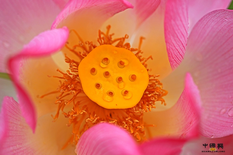 6U9A3623缩放.jpg