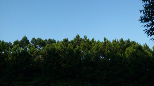 IMG_20160603_183039_副本.jpg