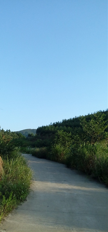 IMG_20160603_182538_副本.jpg