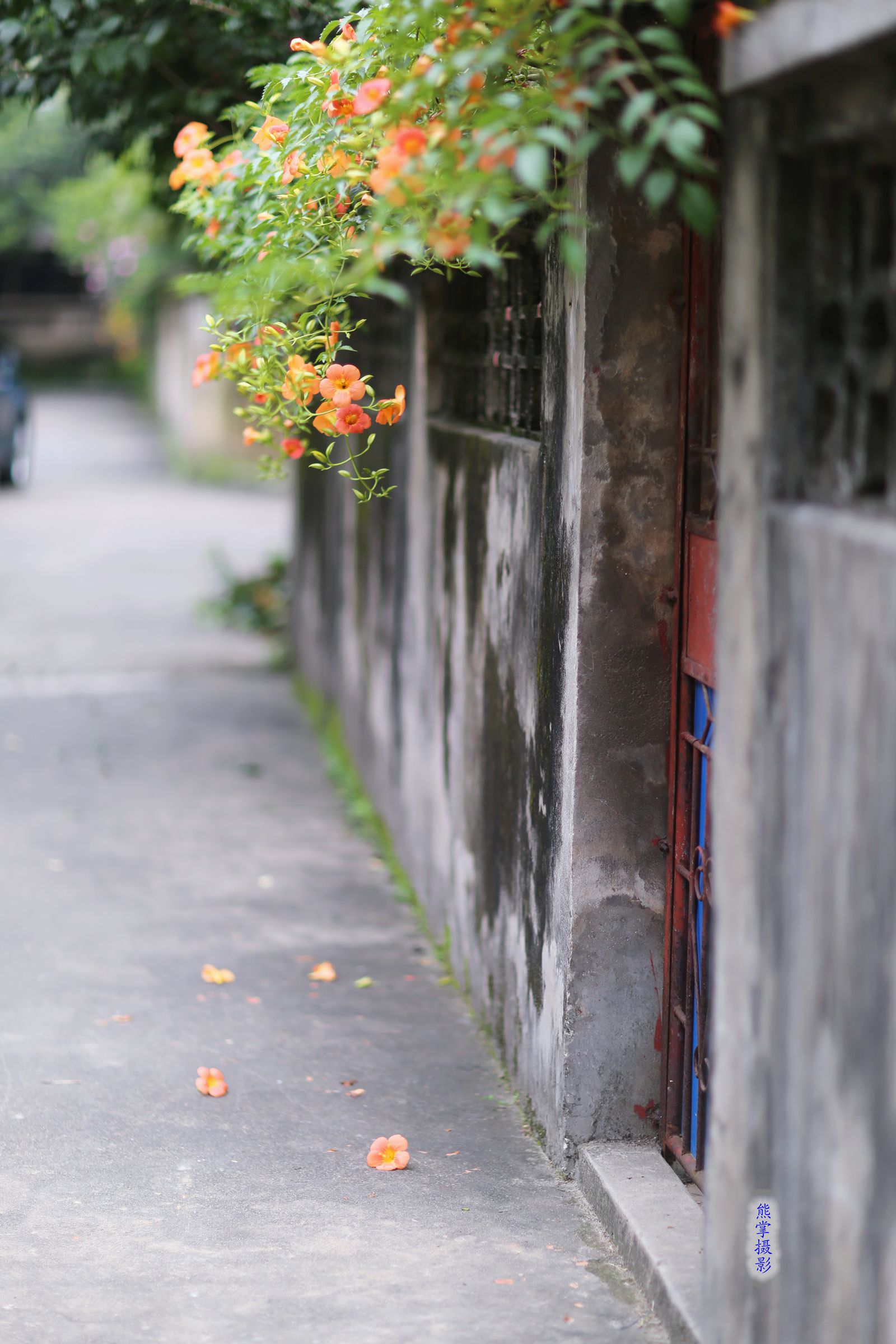 照片 549_副本1.jpg