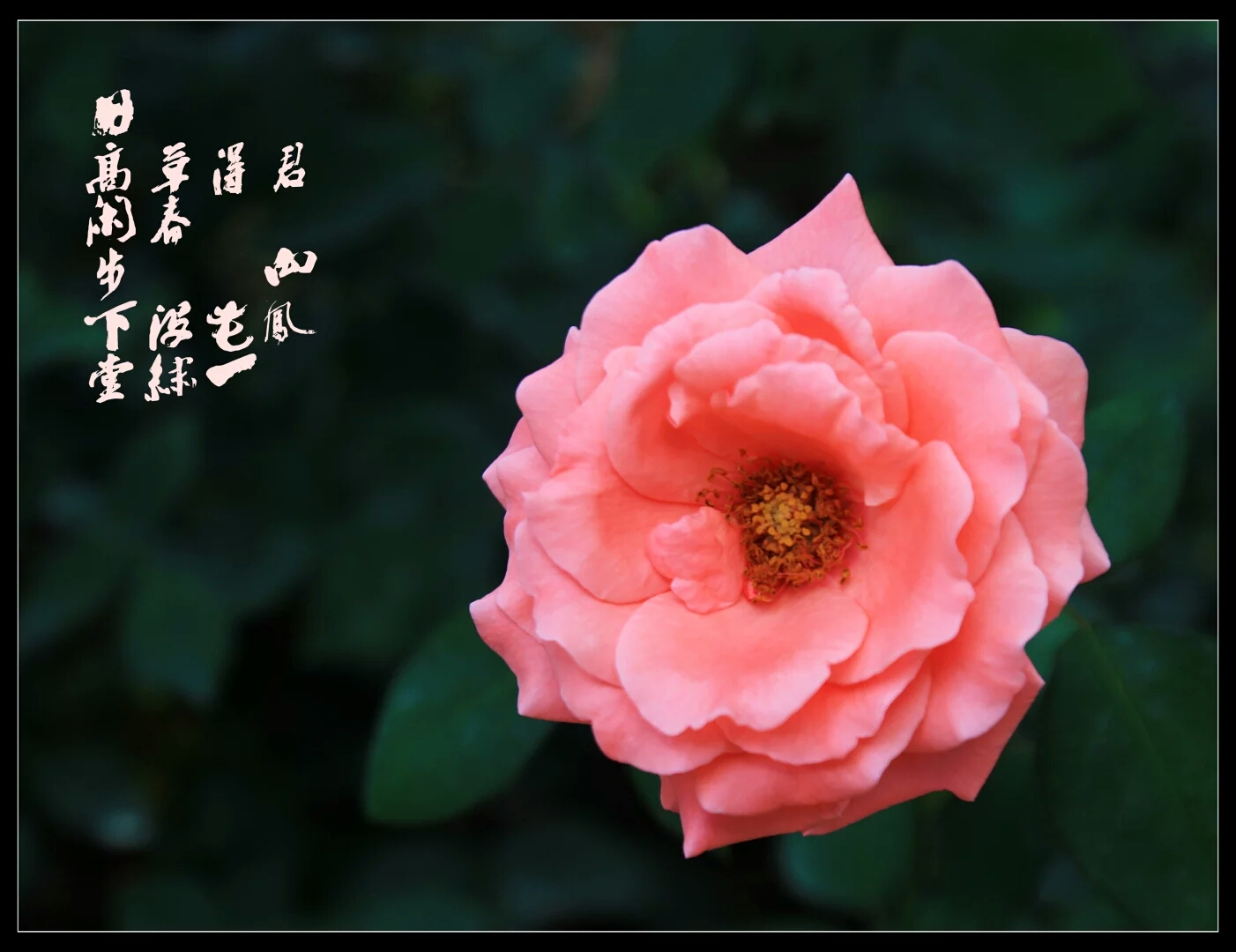 作品展现402305642.jpeg