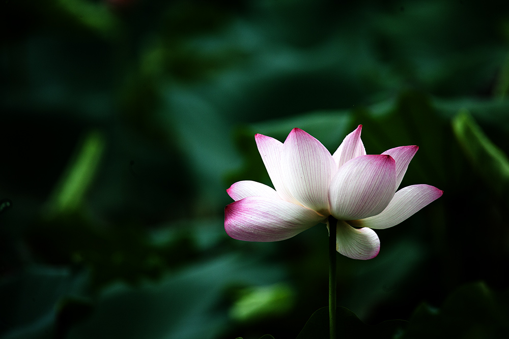IMG_2429副本.jpg