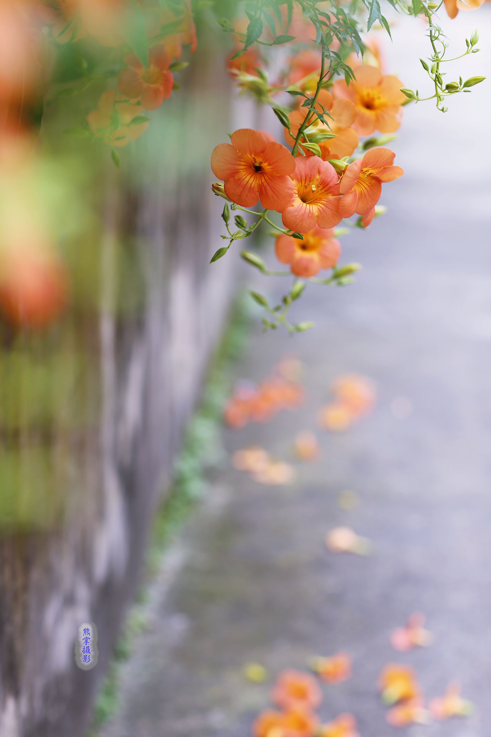 照片 967_副本1.jpg