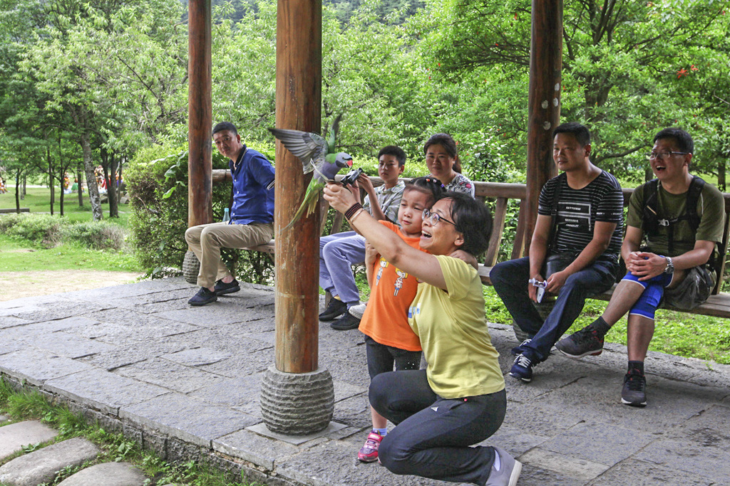 IMG_2906_副本.jpg