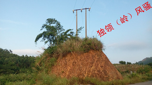 IMG_20160617_180809_副本.jpg