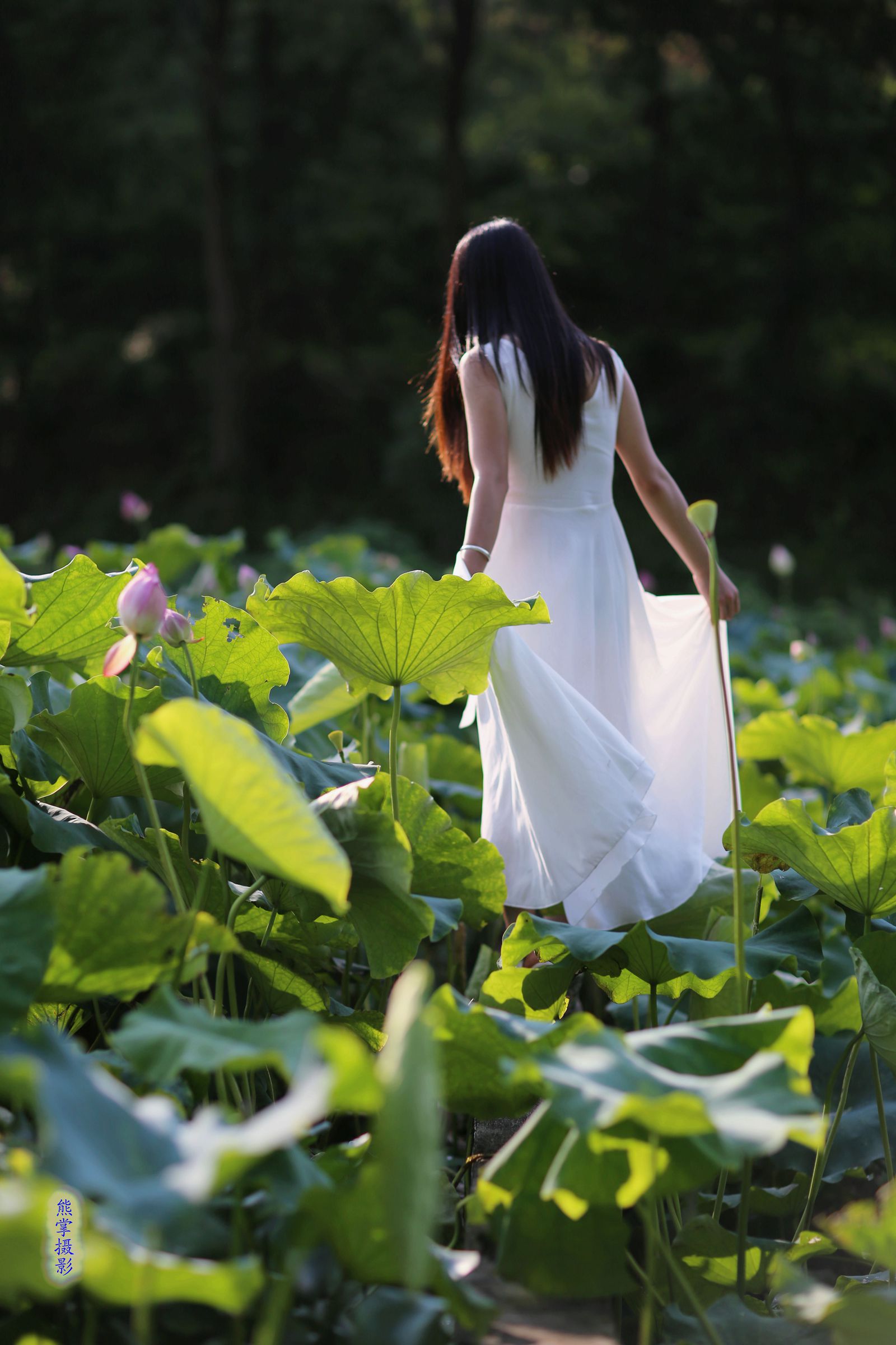 照片 1598_副本1.jpg