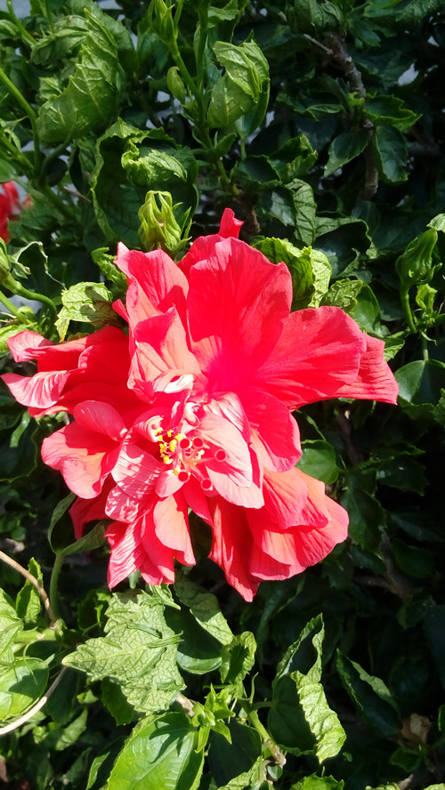 IMG_20160626_103812_副本.jpg