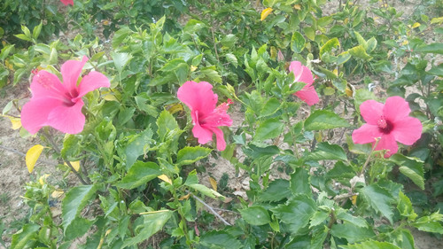 IMG_20160627_112234_副本.jpg