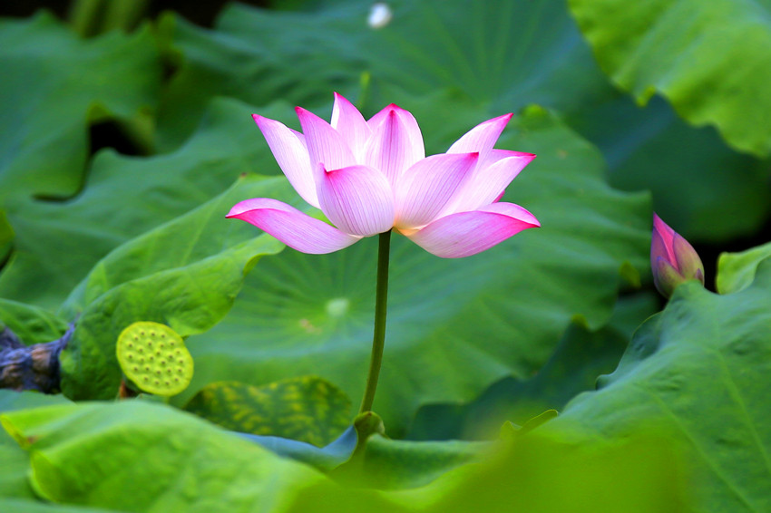 _S0A1057_conew1_副本.jpg