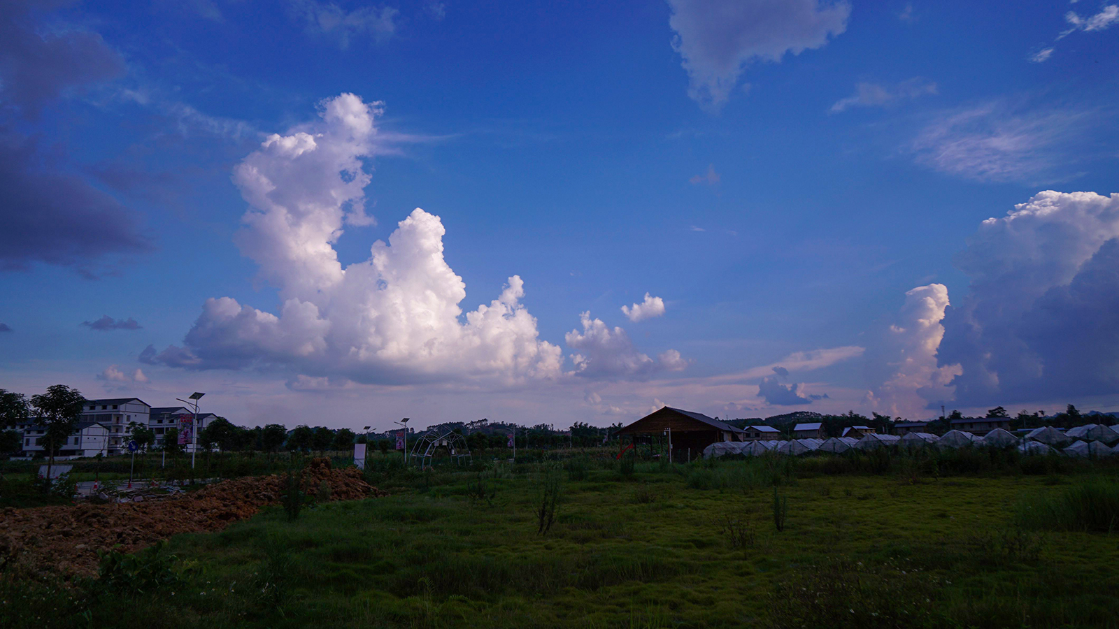 DSC00102.JPG
