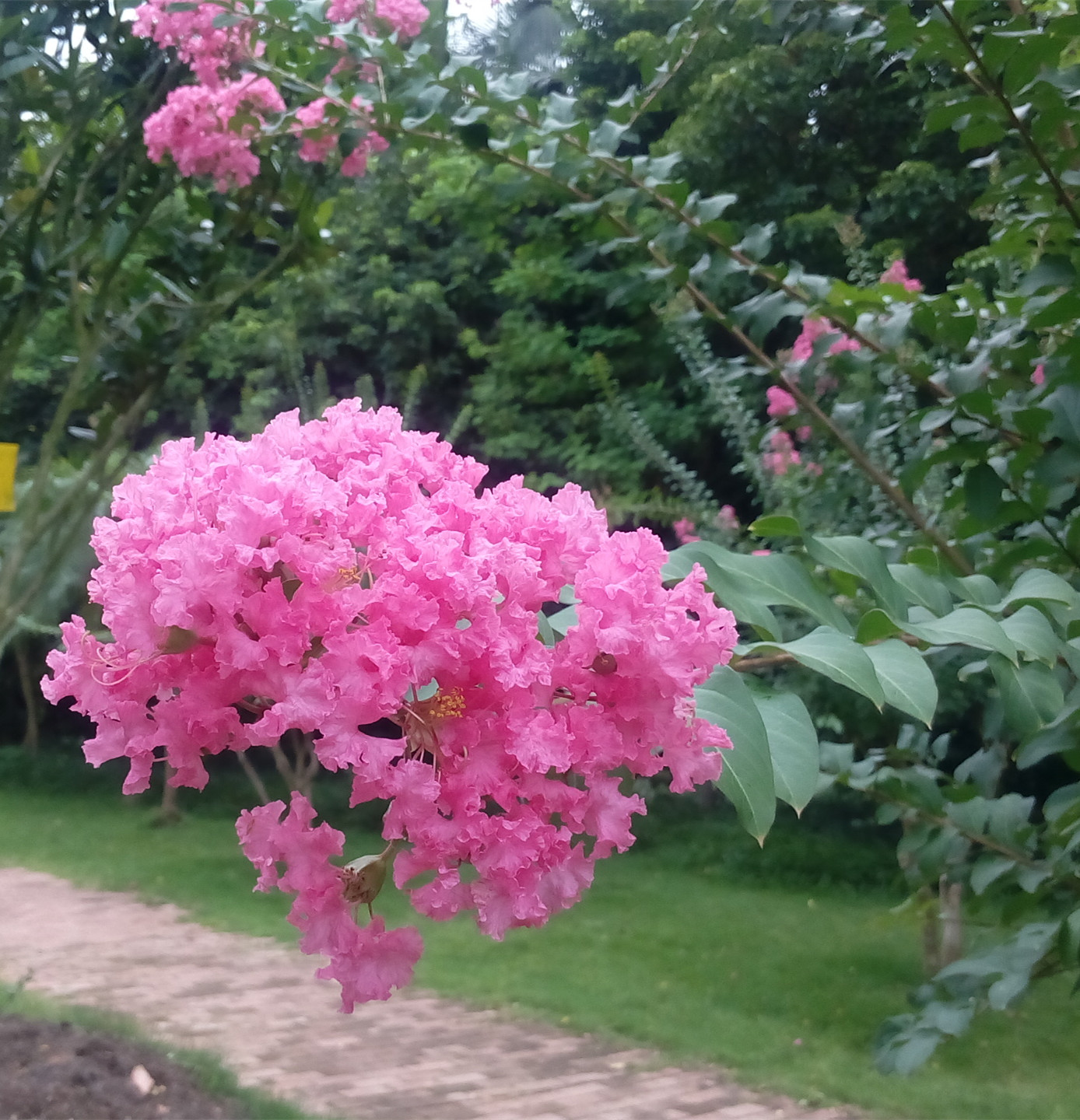 IMG_20160630_150609_副本.jpg