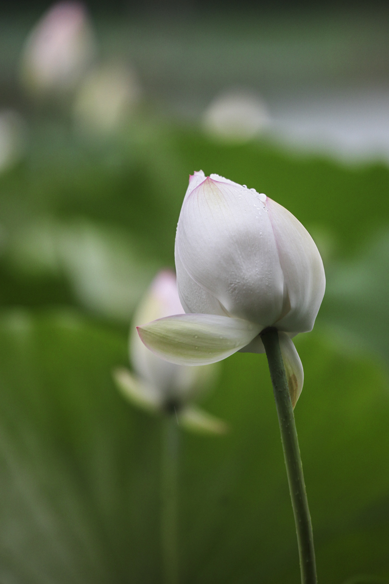 IMG_9635_副本.jpg