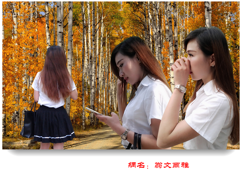 huashulin-787978978005_副本_副本_副本_副本_副本.jpg