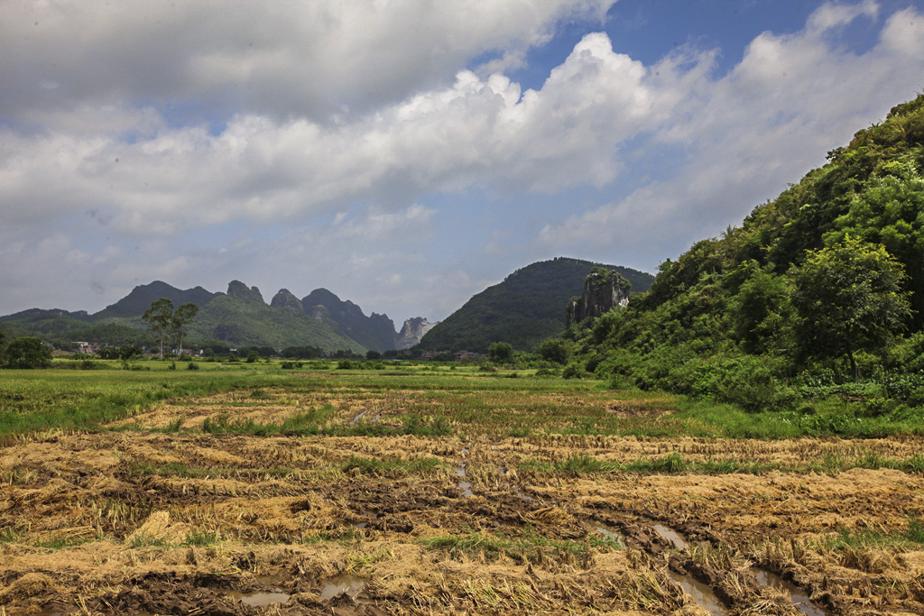 IMG_1916_副本.jpg