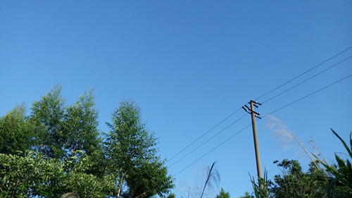 IMG_20160725_182033_副本.jpg