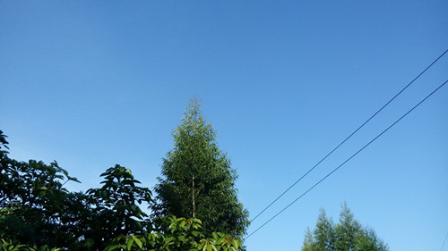 IMG_20160725_182010_副本.jpg