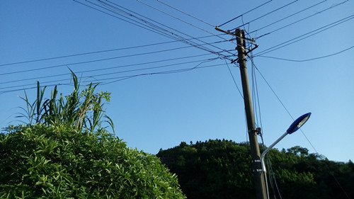 IMG_20160725_183141_副本.jpg