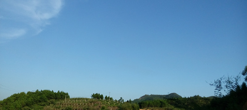 IMG_20160725_184203_副本.jpg