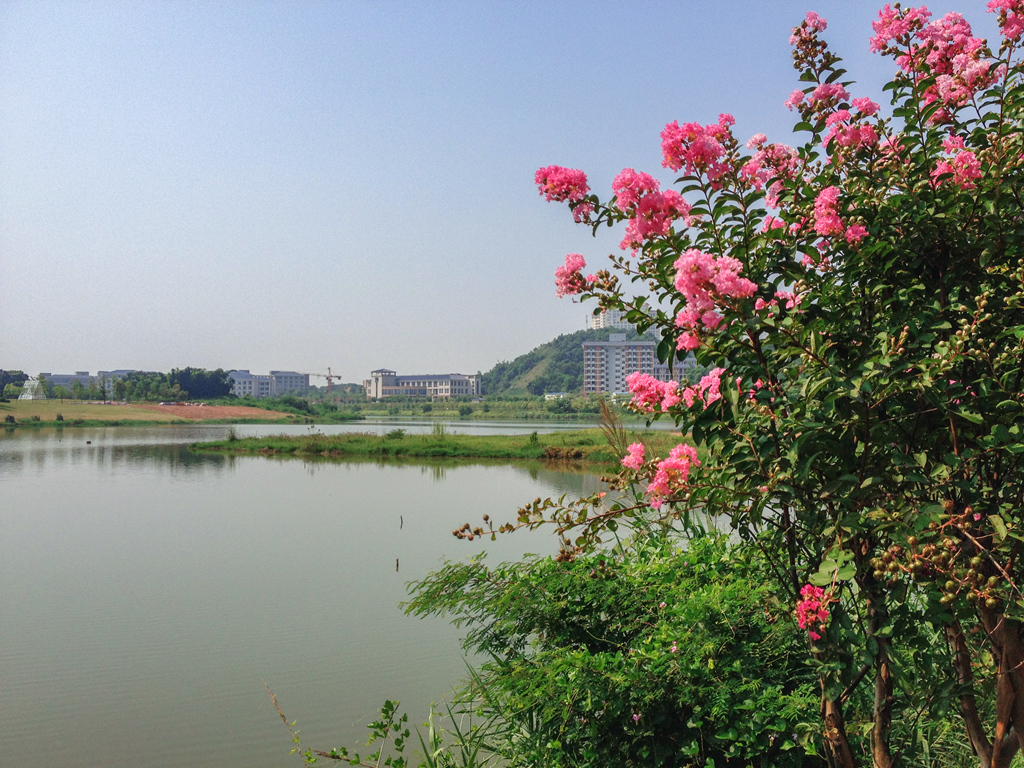 IMG_8092_副本.jpg