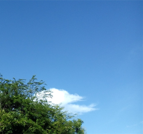 IMG_20160727_181104_副本.jpg