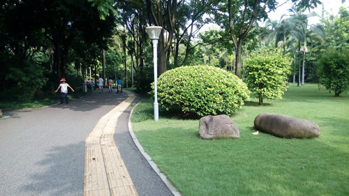 IMG_20160812_091138_副本.jpg