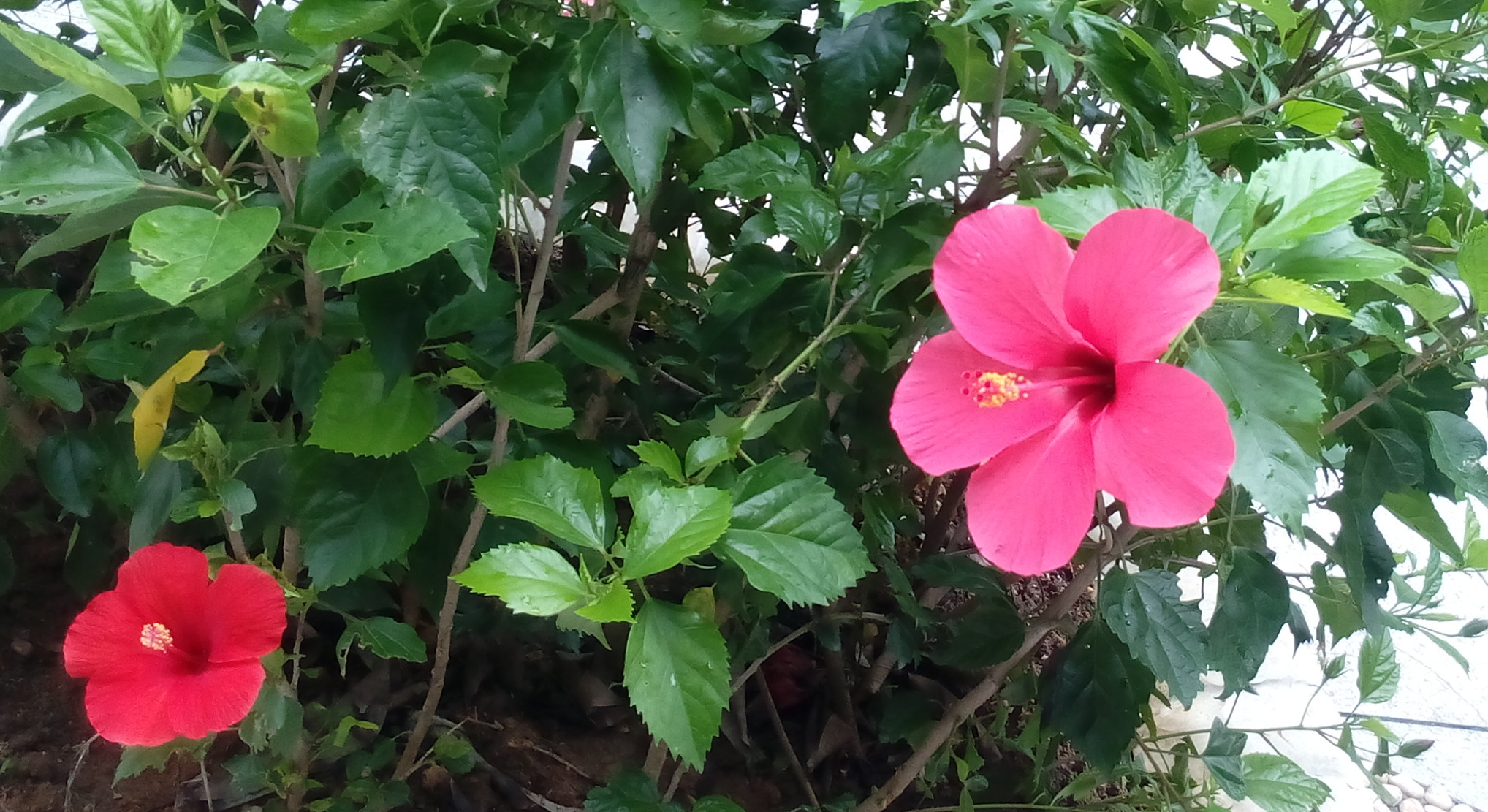 IMG_20160814_100820_副本.jpg