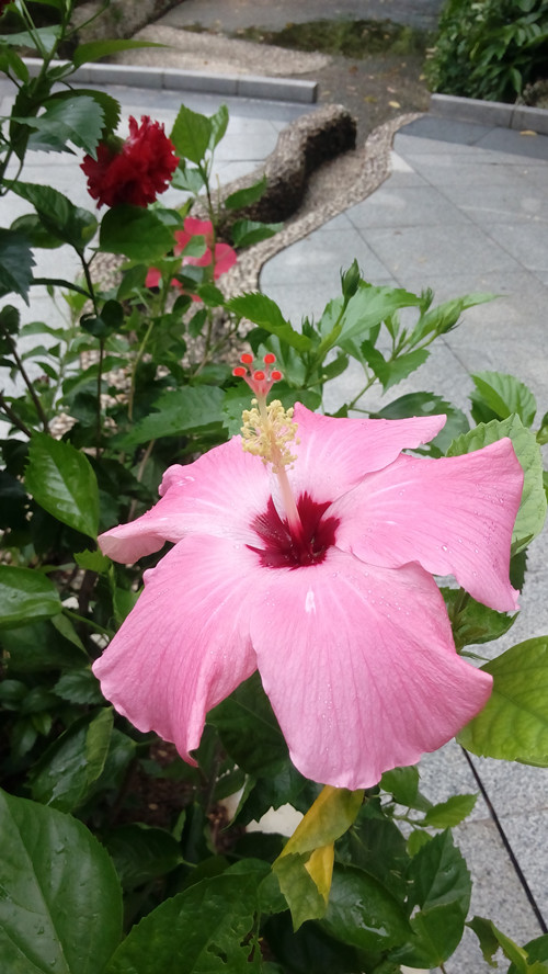 IMG_20160814_100845_副本.jpg