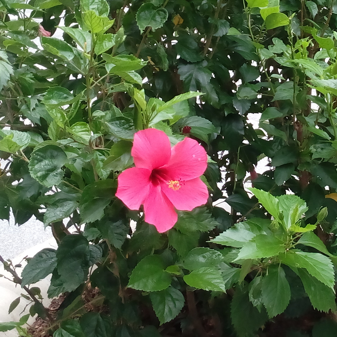 IMG_20160814_100910_副本.jpg