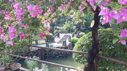 IMG_20160817_095235_副本.jpg