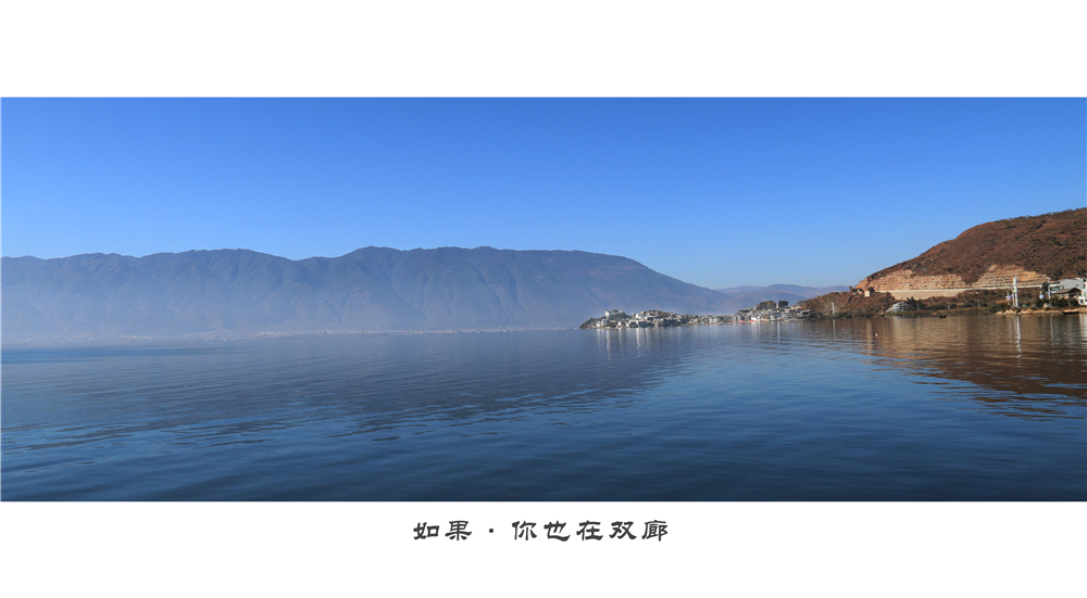 IMG_3222.jpg