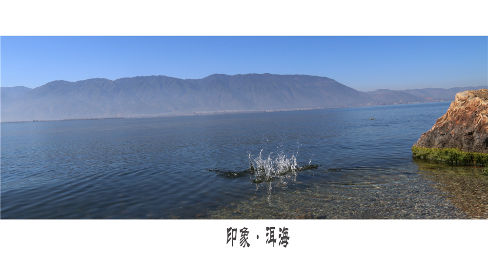 IMG_3323.jpg