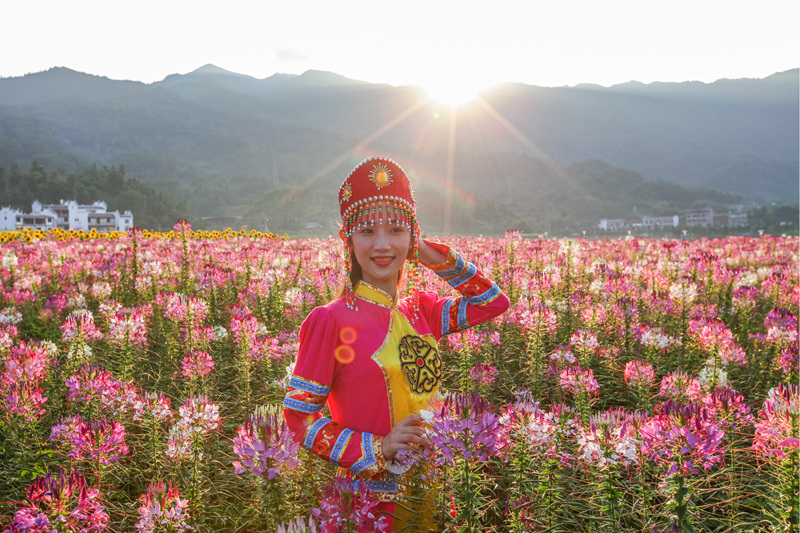 IMG_6512_副本_副本.jpg