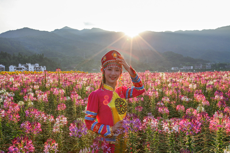 IMG_6515_副本_副本.jpg