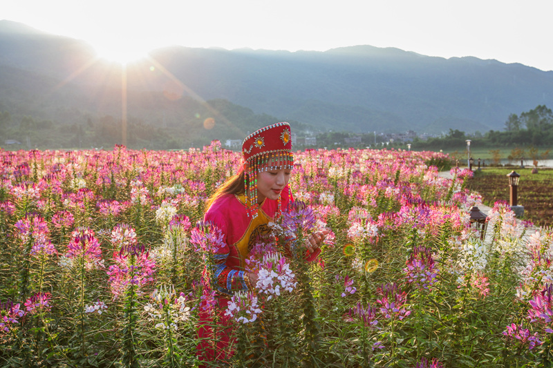IMG_6518_副本_副本.jpg