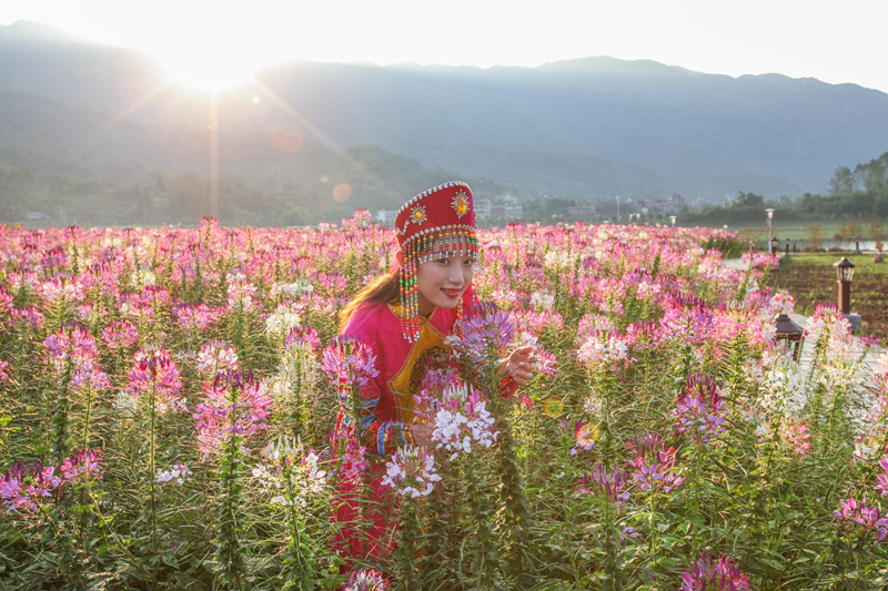 IMG_6522_副本_副本.jpg
