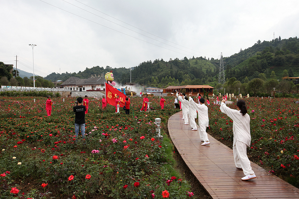 IMG_8881_副本.jpg