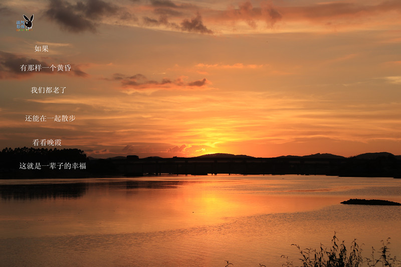 IMG_1013_副本_副本.jpg