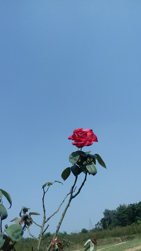 IMG_20161005_134841_副本.jpg