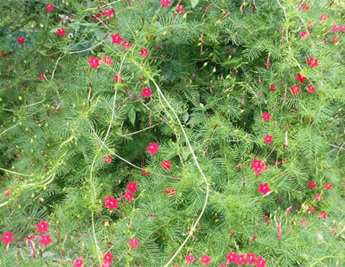IMG_20161012_103824_副本.jpg