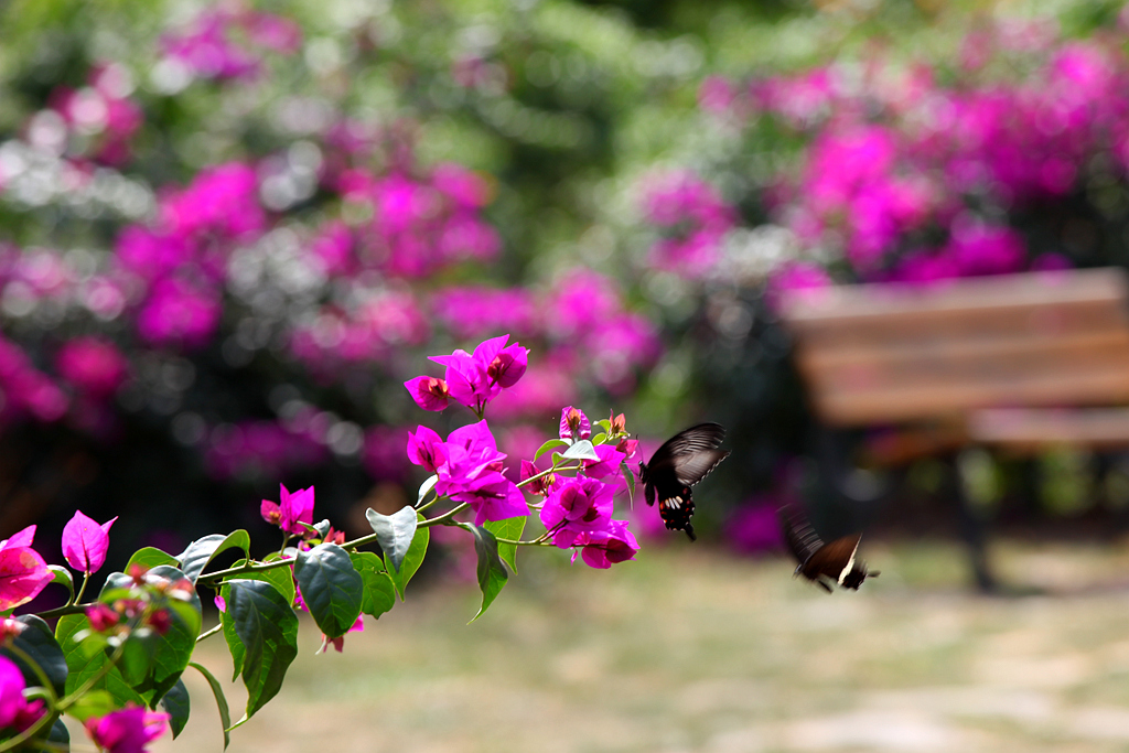 IMG_2795_副本.jpg