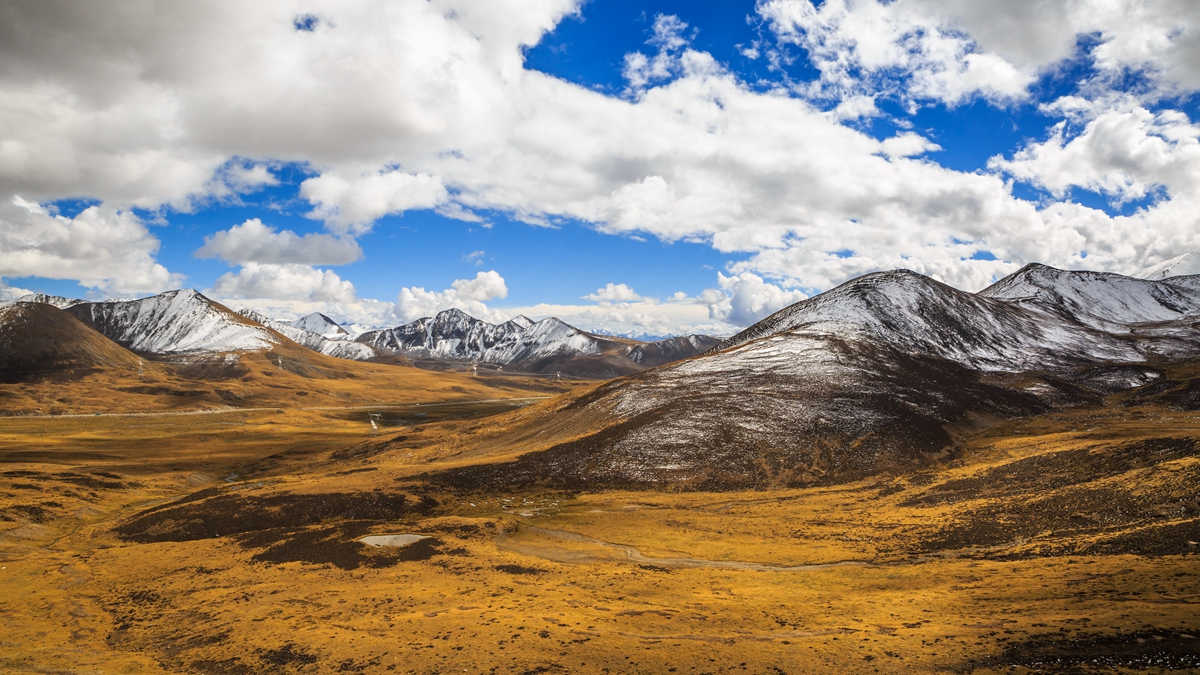 米拉山-5.jpg