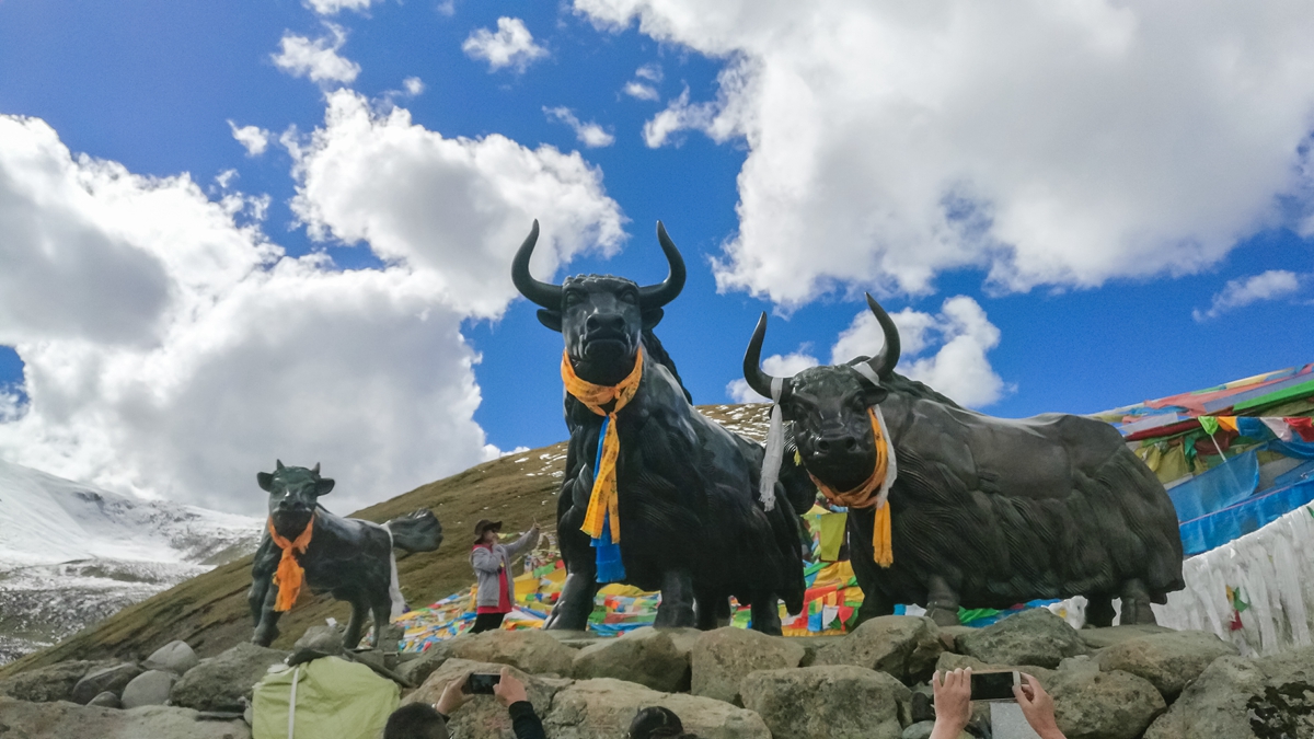 米拉山-7.jpg